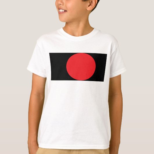 システム太陽の子 Tシャツ (正面)