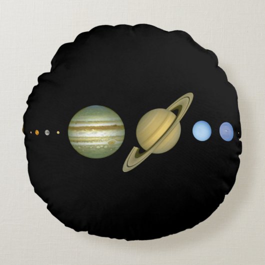 システム太陽の~の長い視野 ラウンドクッション (正面)