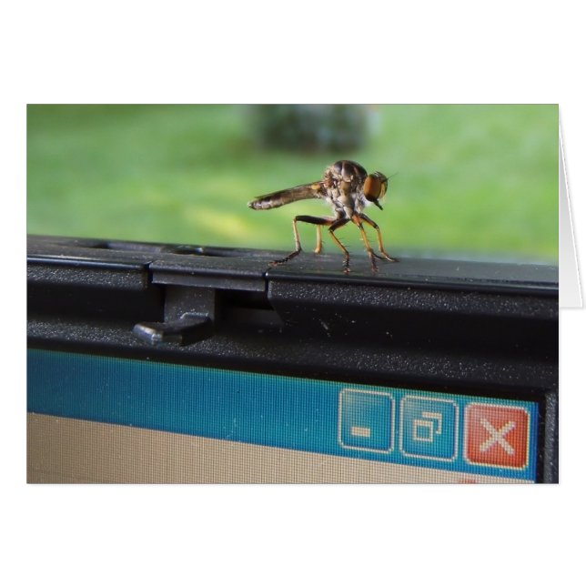 システム~カードの虫 (正面横)