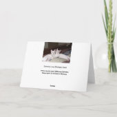 システリーラブツインズキャット誕生日カード カード (裏面)