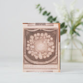 システ太陽のム ポストカード (スタンド正面)