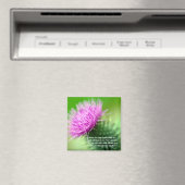 シスルとセルカークレース磁石 マグネット (インサイチュ (食洗機))