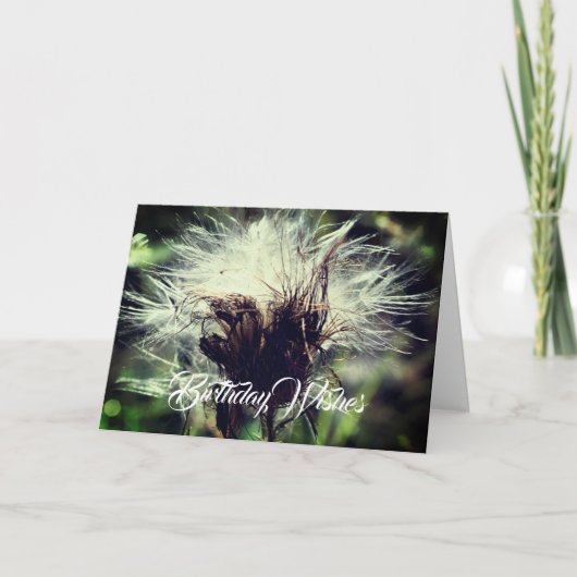 シスルフラフフラワーカスタマイズ可能誕生日 カード (正面)