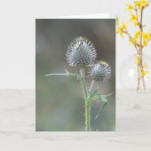 シスル カード (黄色い花)