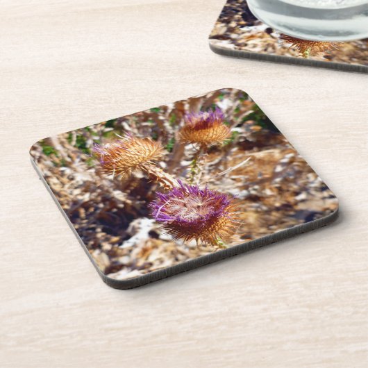 シスル コースター (左側)