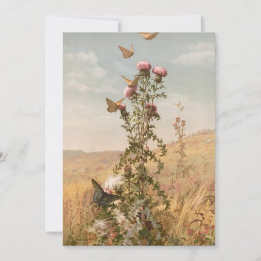 シスル | フィデリアブリッジ (正面)