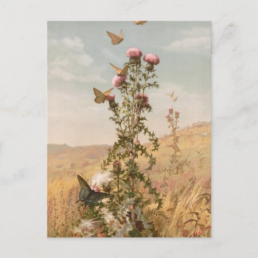 シスル | フィデリアブリッジ ポストカード (正面)