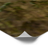 シスル ポスター (角)