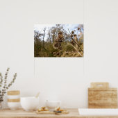 シスル ポスター (キッチン)