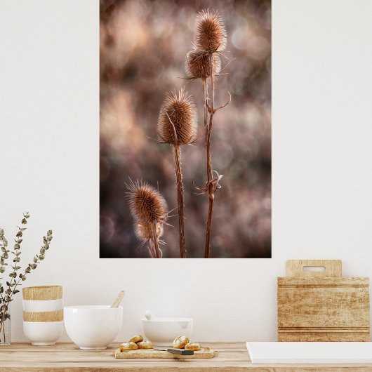 シスル ポスター (キッチン)