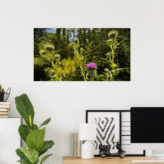 シスル ポスター (ホームオフィス)