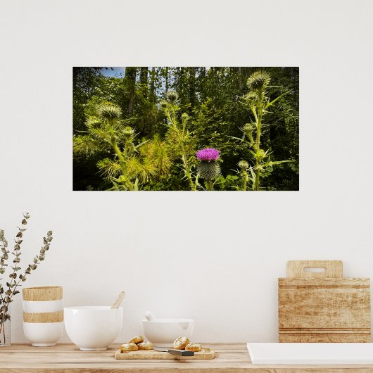 シスル ポスター (キッチン)