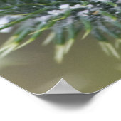 シスル ポスター (角)