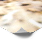 シスル ポスター (角)