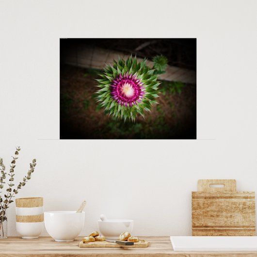 シスル ポスター (キッチン)