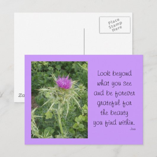 シスル ポストカード (正面/裏面)