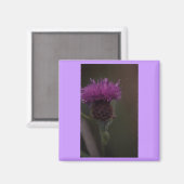 シスル マグネット (正面/裏面)