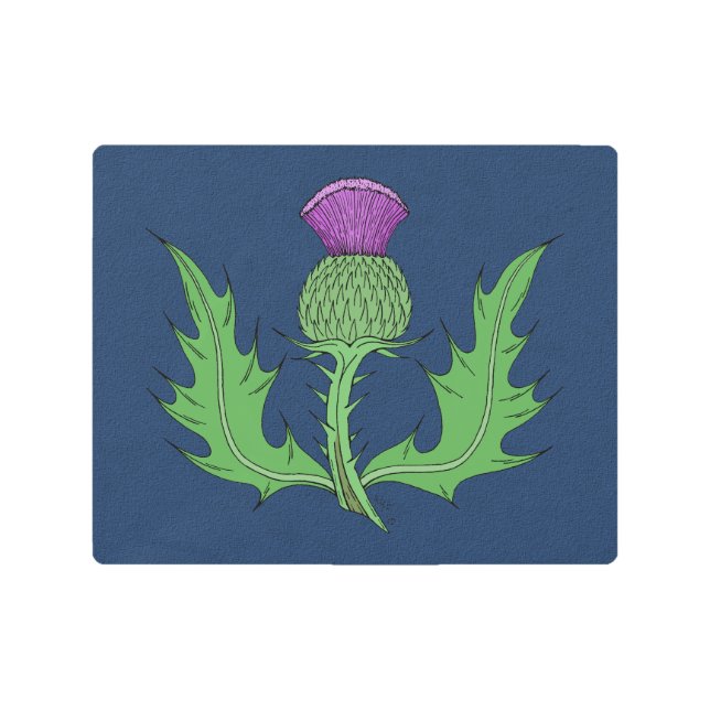 シスル メタルプリント (正面)