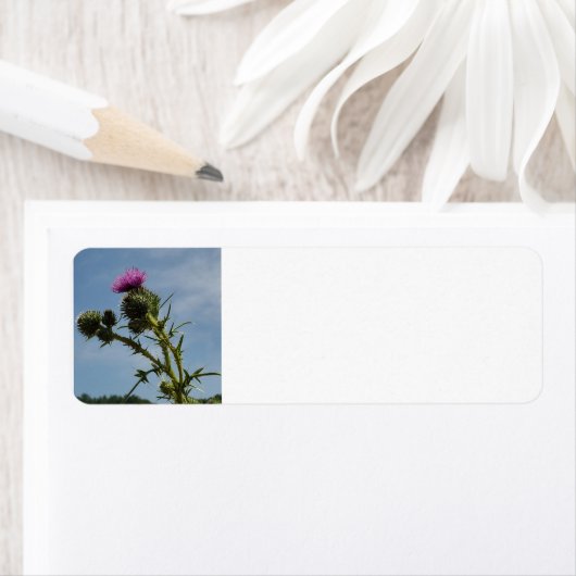 シスル ラベル (インサイチュ)