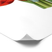 シゾスチリス結膜炎 ポスター (角)