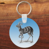 シタトゥンガまたはマーシュバック キーホルダー (正面)