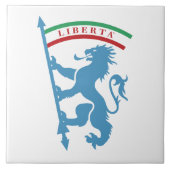 シタメトロポリタナディボローニャ タイル (正面)