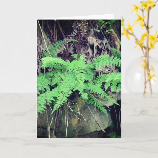 シダすべての行事 カード (黄色い花)