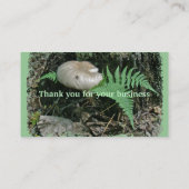 シダとキノコのStump Business Card 名刺 (裏面)