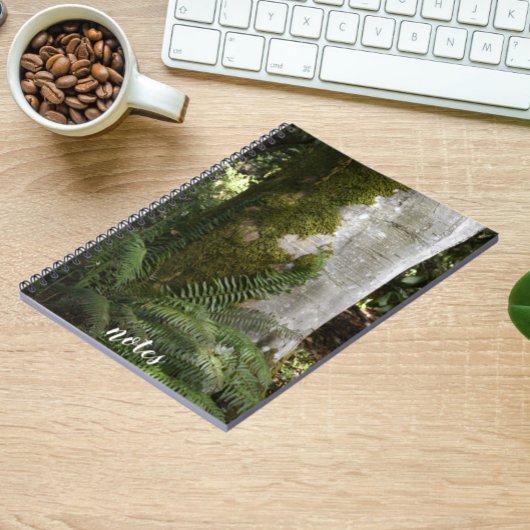 シダとコケの覆われた木の自然写真 ノートブック