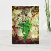 シダとジオデスすべての行事 カード (正面)