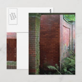 シダとレンガ ポストカード (正面/裏面)