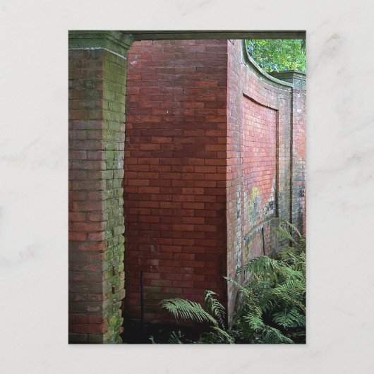 シダとレンガ ポストカード (正面)
