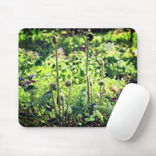 シダと花 マウスパッド (マウス)