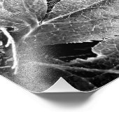 シダと葉の白黒 フォトプリント            (角)