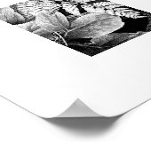 シダと葉の黒と白 ポスター (角)