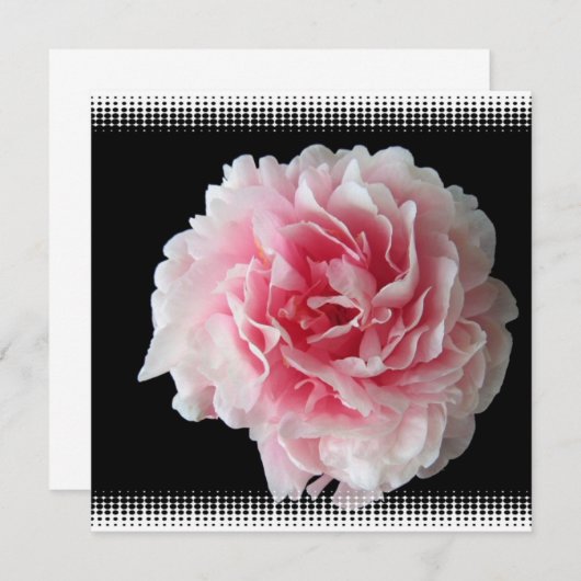 シダのシャクヤクの招待状 招待状 (正面/裏面)