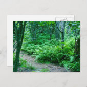 シダのハイキングコースの郵便はがき ポストカード (正面/裏面)