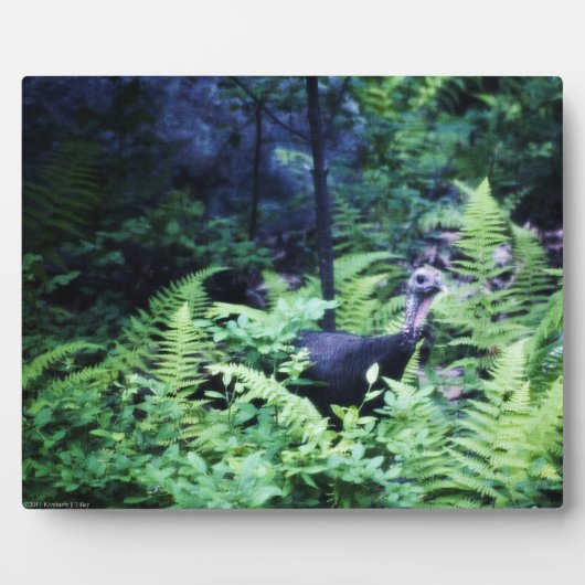 シダのプラークの母トルコ フォトプラーク (正面)