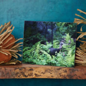 シダのプラークの母トルコ フォトプラーク (側面)