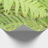 シダの包装紙マット ラッピングペーパー (角)