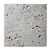 シダの化石のタイルの表面のクローズアップ タイル (正面)