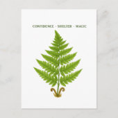 シダの意味 ポストカード (正面)