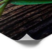 シダの木の小さなシダグランジ ポスター (角)