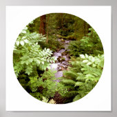 シダの森の流れ ポスター (正面)