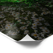 シダの森を抜け出す壮大な歩道 ポスター (コーナー)