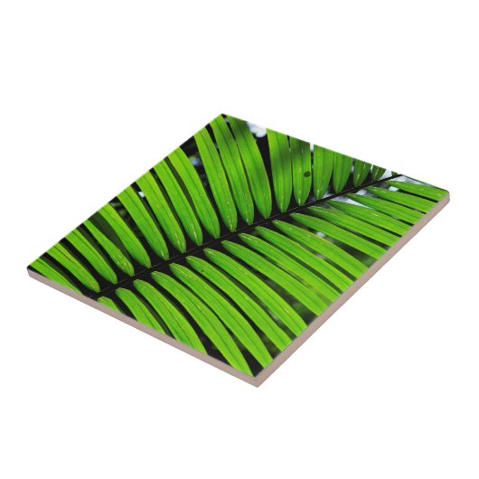 シダの模様葉の タイル (側面)