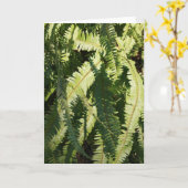 「シダの模様」ノートカード カード (黄色い花)