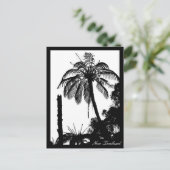 シダの樹林、銀のシダ、ニュージーランド自然 ポストカード (スタンド正面)