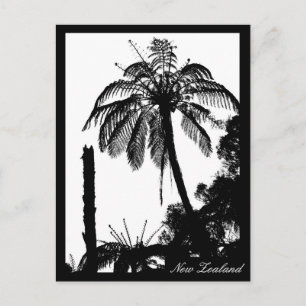 シダの樹林、銀のシダ、ニュージーランド自然 ポストカード