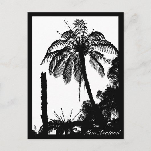 シダの樹林、銀のシダ、ニュージーランド自然 ポストカード (正面)
